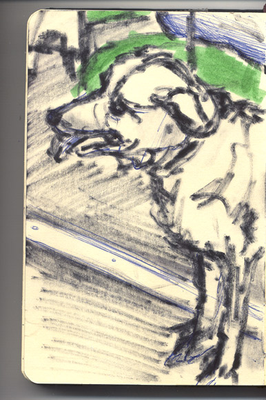 hond in trein